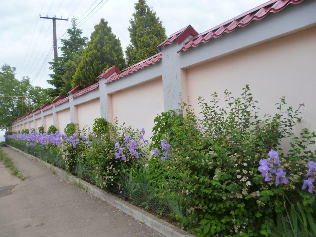 Mini Hotel Уютный Дворик Odessa Zewnętrze zdjęcie